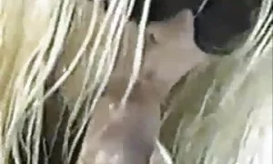 دستگاه فیلم سکس هنده سکس وحشی