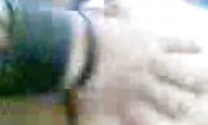 شاخی در سرزمین بی ثمر عکس سکسی خوردن ممه